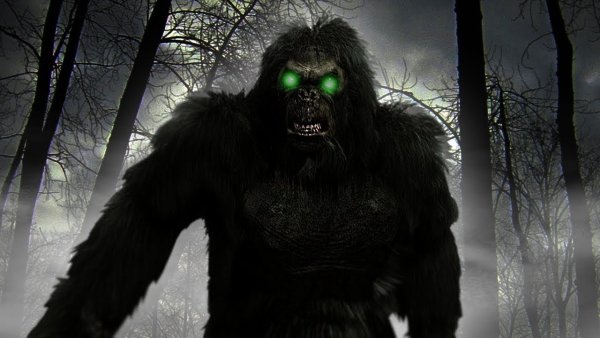 Бигфут сасквоч игра