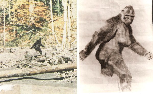 Бигфут Йети