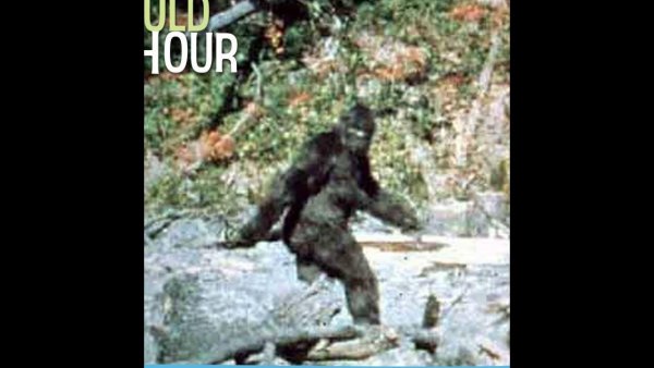 Реликтовый гоминид