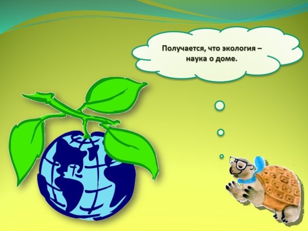 Окружающий мир экология