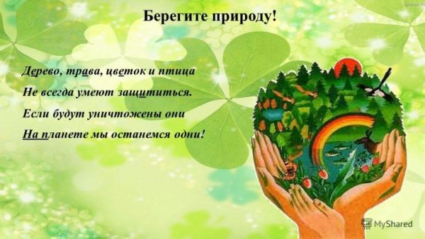 Экология берегите природу