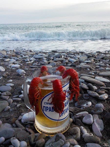 Пиво на пляже
