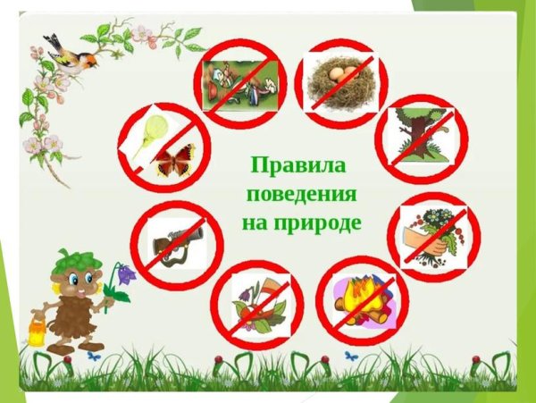 Правила поведения на природе