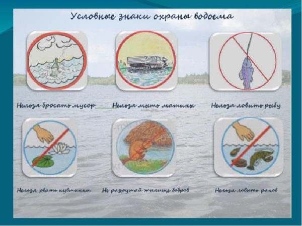 Знаки охраны водоемов
