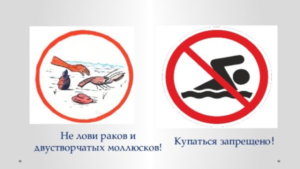 Разрешающие знаки у водоема