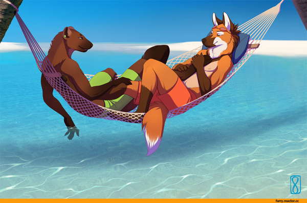 Лиса на отдыхе