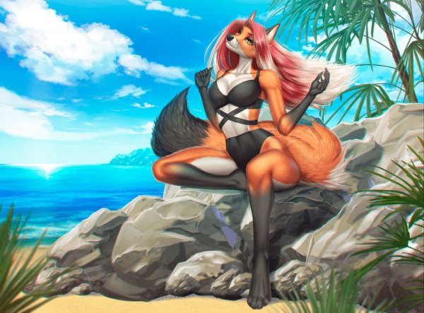 Furry Fox Beach