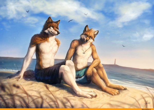 Фурри на пляже