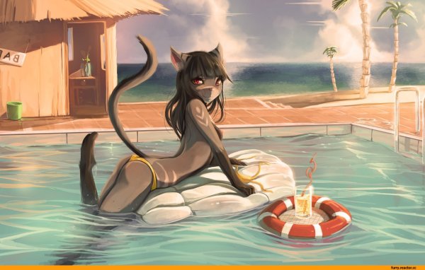 Furry бассейн