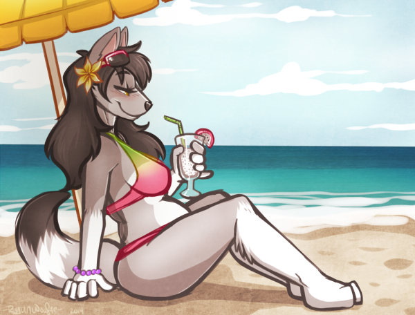 Бич арт фурри