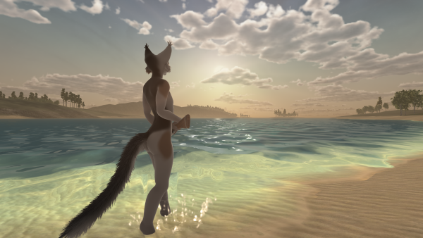 Hunt and Snare игра