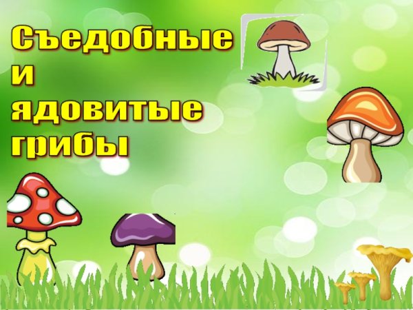 Ядовитые грибы для дошкольников