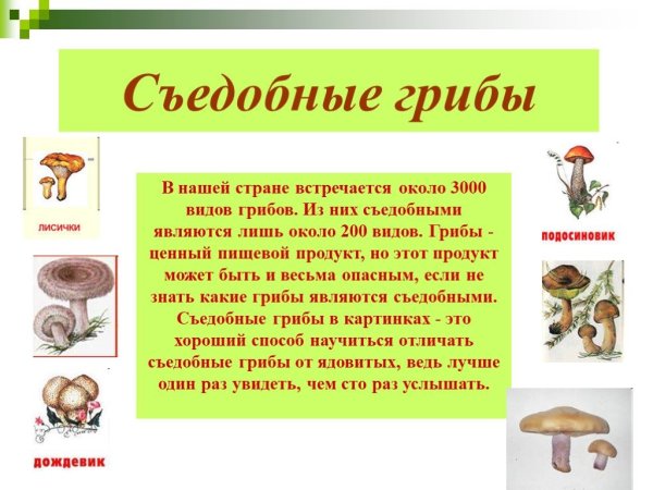 Сообщение о съедобных и несъедобных грибах