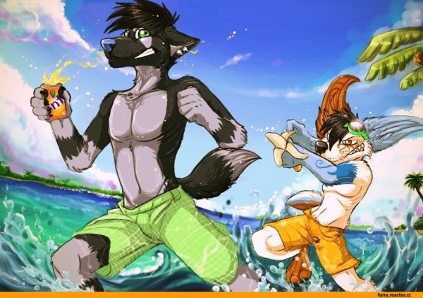 Фурри на море