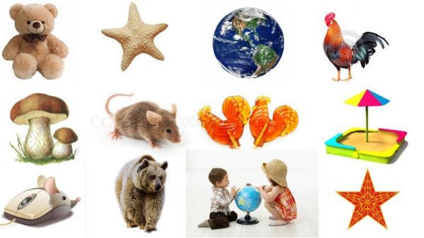 Предметы живой природы и рукотворного мира