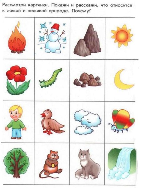 Живая и неживая природа задания для дошкольников