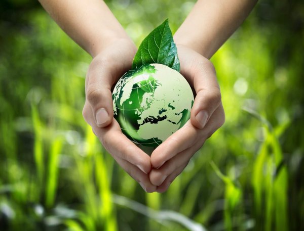 Защита окружающей природы