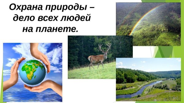 Проект защита природы
