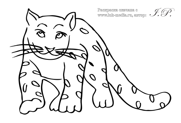 Барс раскраска