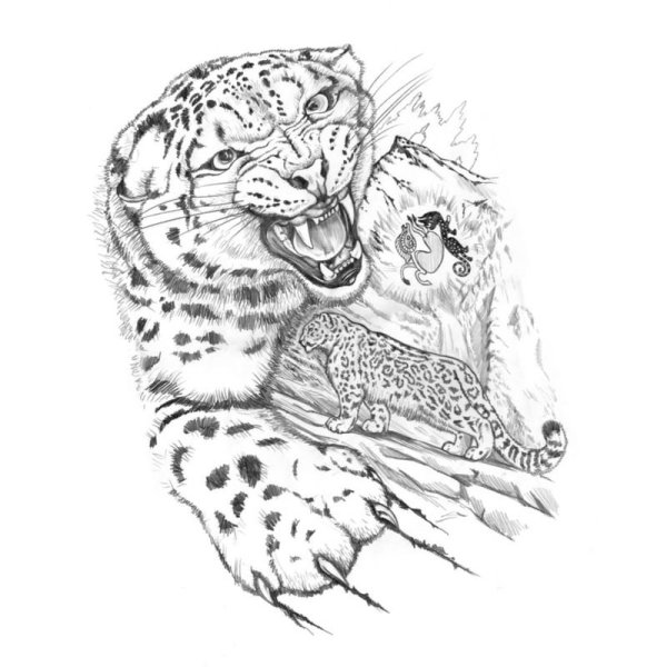 Снежный Барс разукрашка