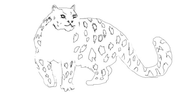 Снежный Барс рисунок