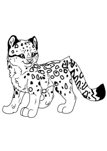 Белый леопард раскраска