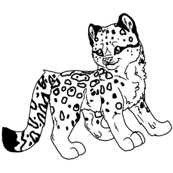 Снежный Барс