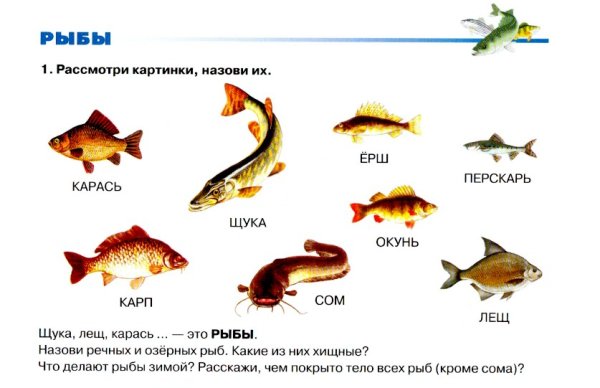 Пресноводные и аквариумные рыбы лексическая тема
