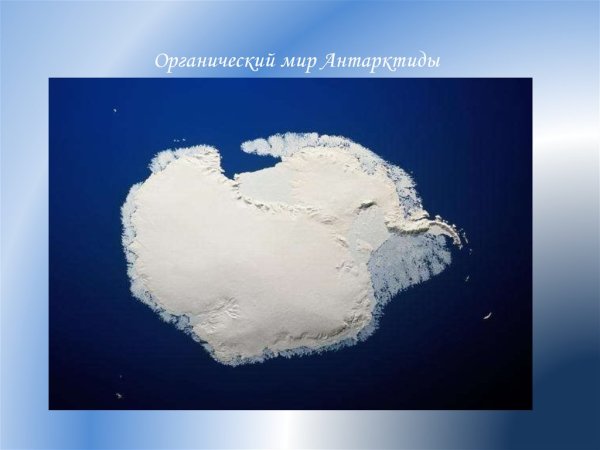 Антарктида 2 класс