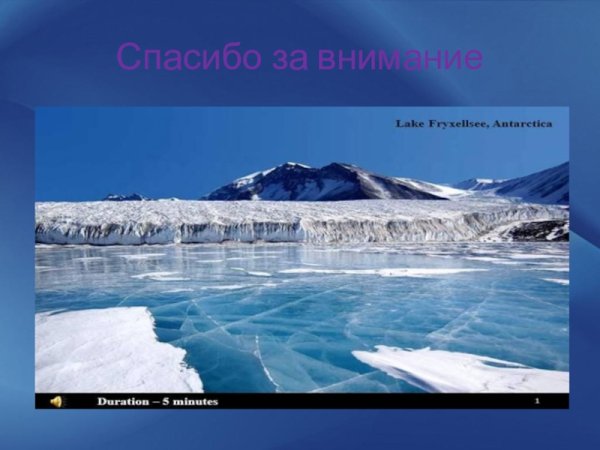 Антарктида проект