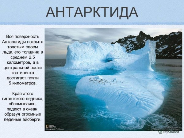 Доклад про Антарктиду