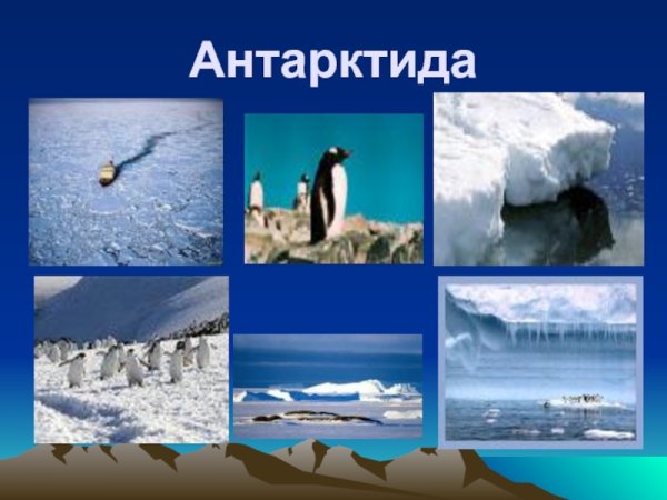 Антарктида для детей