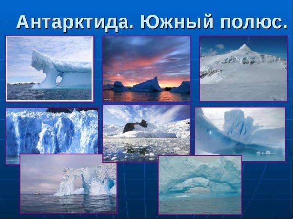 Антарктида для детей