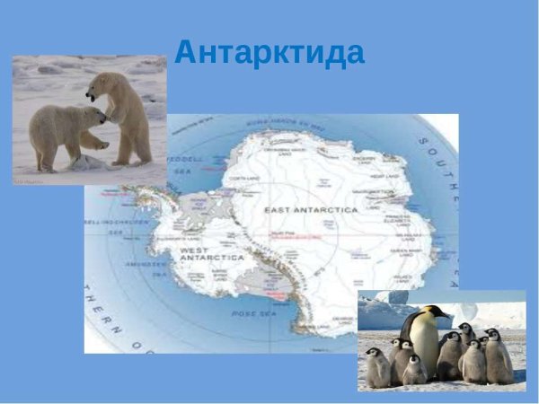 Антарктида материк 2 класс