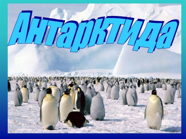 Антарктида надпись