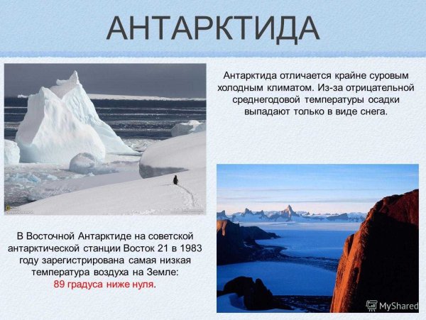 Сообщение о Антарктиде