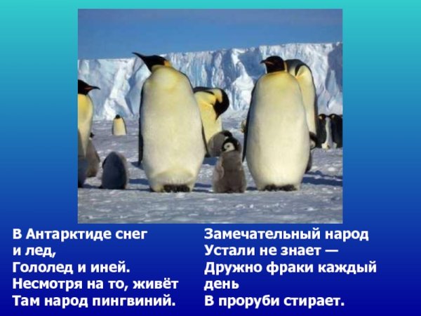 Антарктида презентация для детей