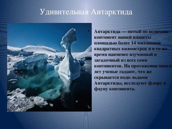 Антарктида интересные факты