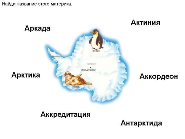 Антарктида материк для детей