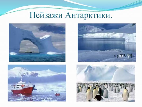 Арктика и Антарктика