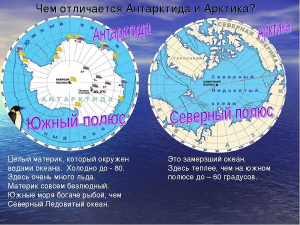 Южный и Северный полюс Арктика и Антарктида