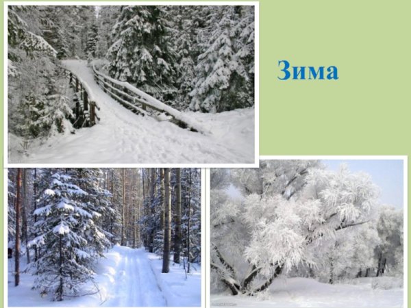 Зима изменения в природе