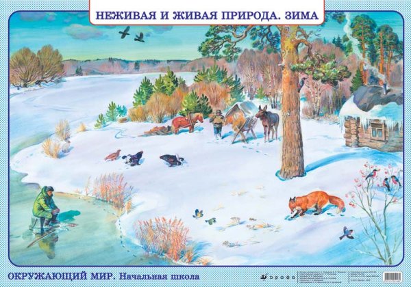 Живая природа зимой наглядные пособия