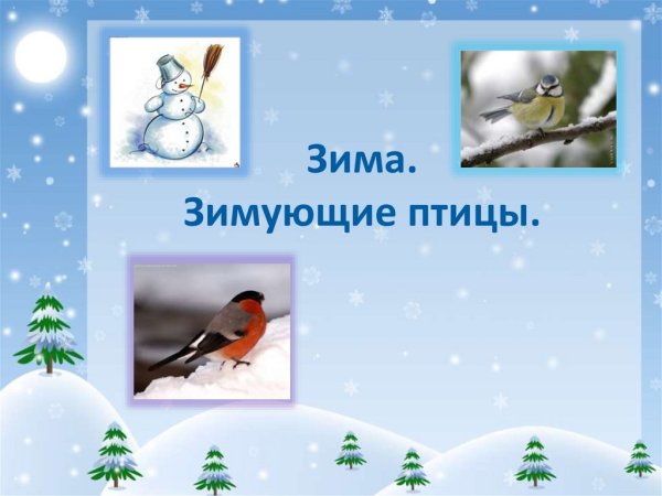 Зимующие птицы окружающий мир