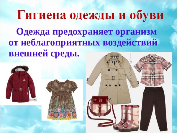 Сезонная одежда