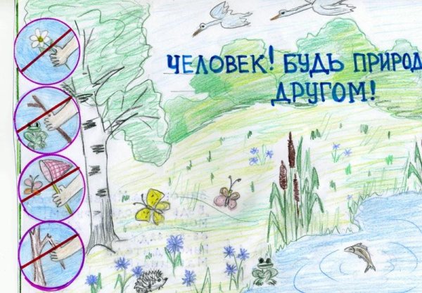 Плакаты об охране природы для детей