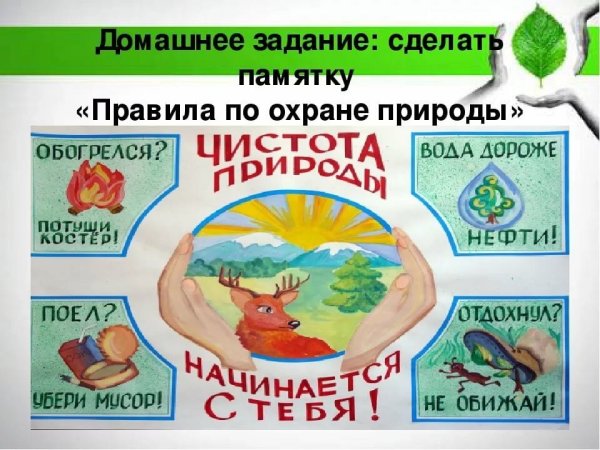 Проект охрана природы