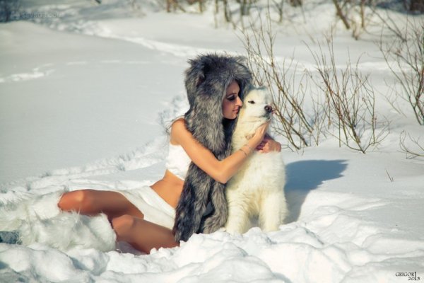 Фотосессия с животными зимой