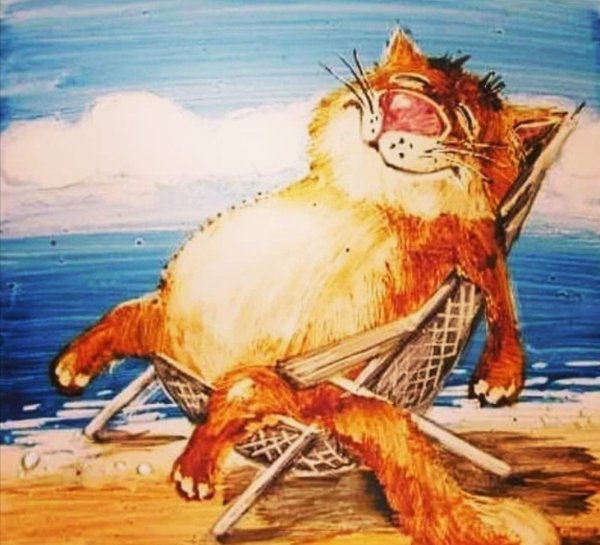 Анатолий Ярышкин коты на море