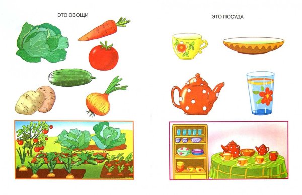Овощи задания для детей 2-3 лет